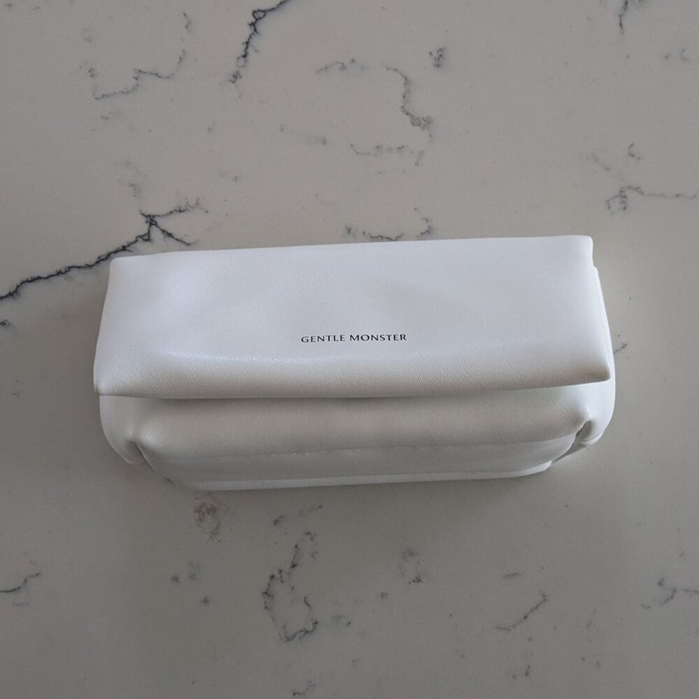 Gentle Monster sunglasses case, brand new